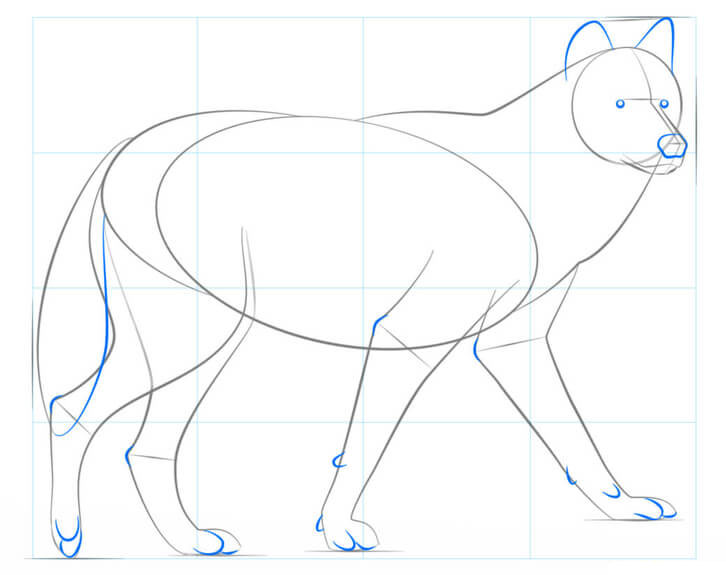 نقاشی گام به گام حیوانات | آموزش کشیدن نقاشی گرگ
